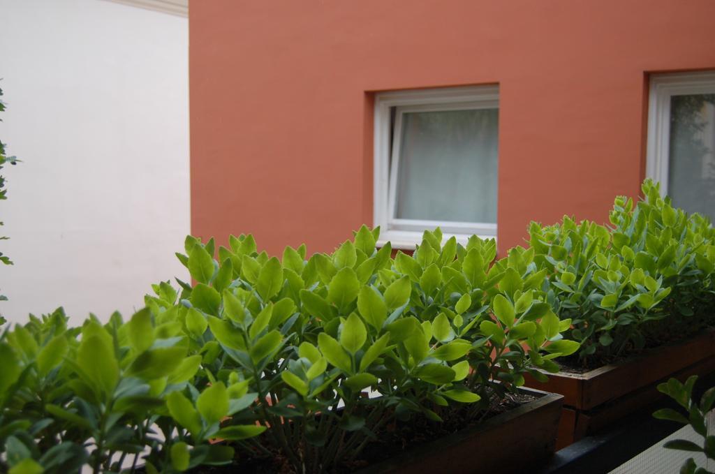 Buda Castle Apartments Budapeste Quarto foto